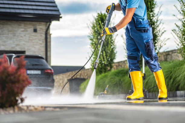 Best Animal Enclosure Cleaning  in Man, WV